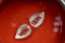 Detail of the natural dye extraction process during a botanical workshop in Bali. A Red liquid with white seeds in a metal pot on a concrete surface.